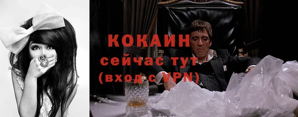 шишки Балахна