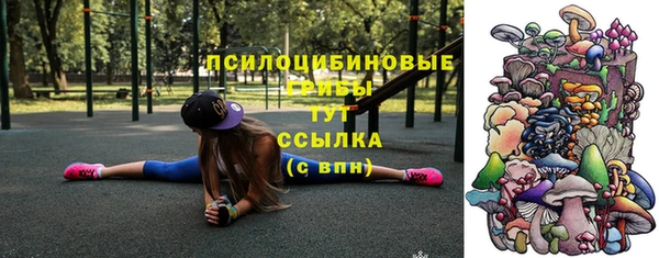шишки Балахна